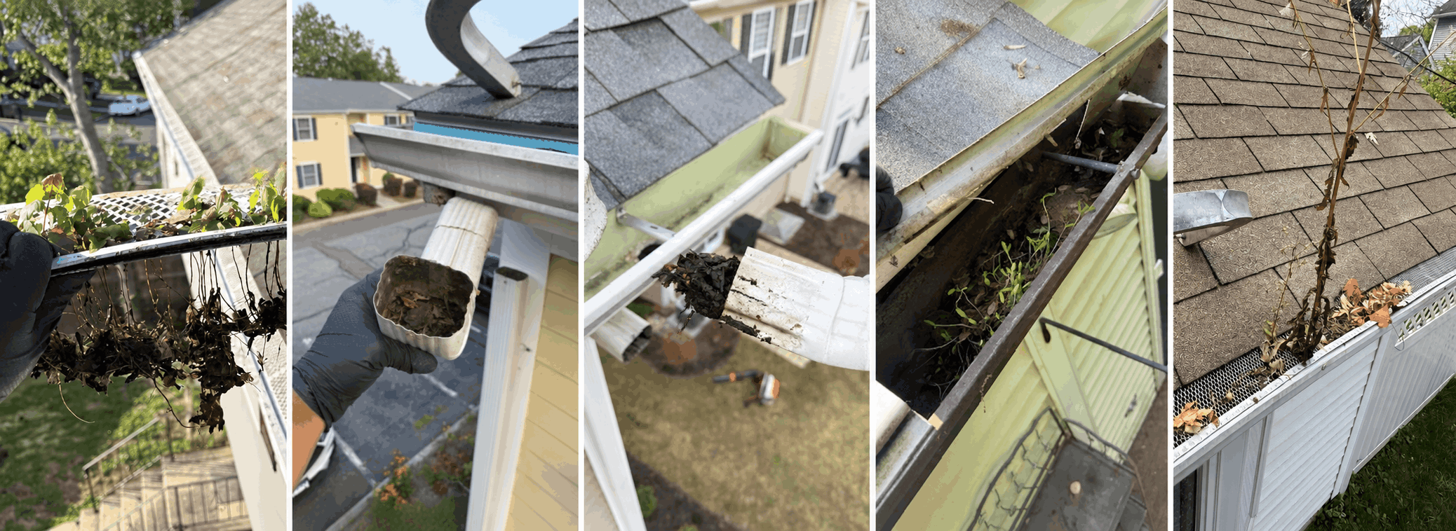 Gutter and downspout clogged with leaves and debris